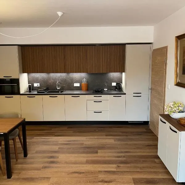 Apartmán Hruška Černý Důl, ξενοδοχείο σε Cerny Dul