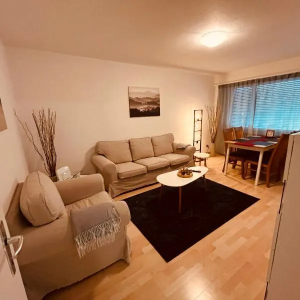 3-Room Apartment for Business Travelers or Familie, Free WiFi & TV with 100 Countries, DAZN, Sky, Netflix & Disney, hotel em Wynau