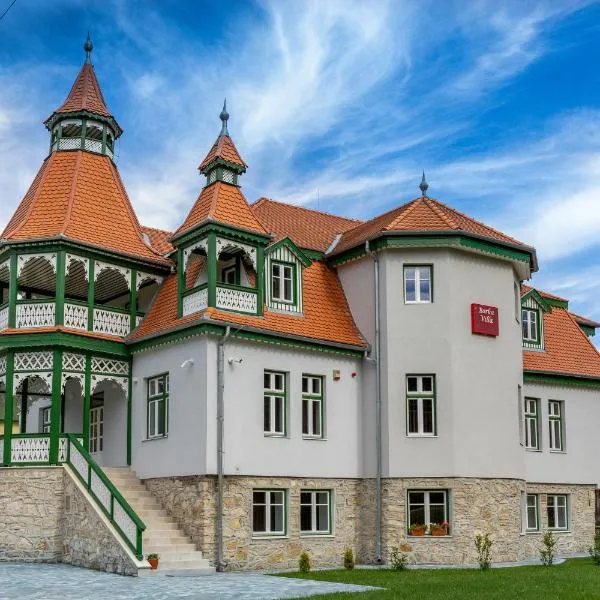 Vila Borka, hotel in Borsec