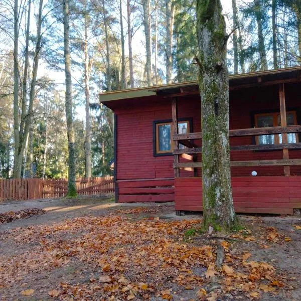 Oleandria -,,Domek Pokrzywa", ξενοδοχείο σε Biskupiec