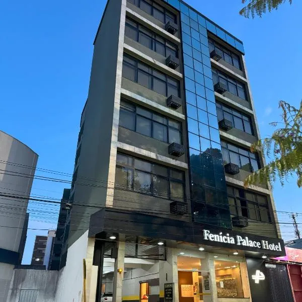 Fenicia Palace Hotel, hotel in Varginha