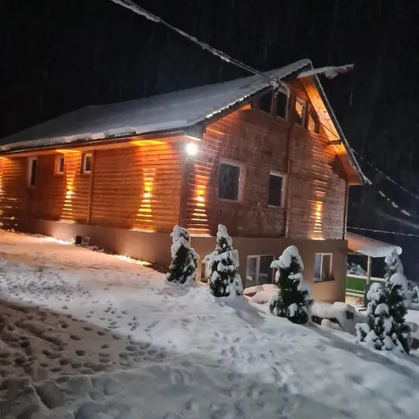 Šumska vila Gašić, Hotel in Kopaonik