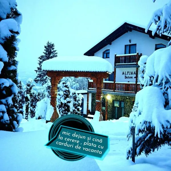 Alpina Panoramic, ξενοδοχείο σε Moisei