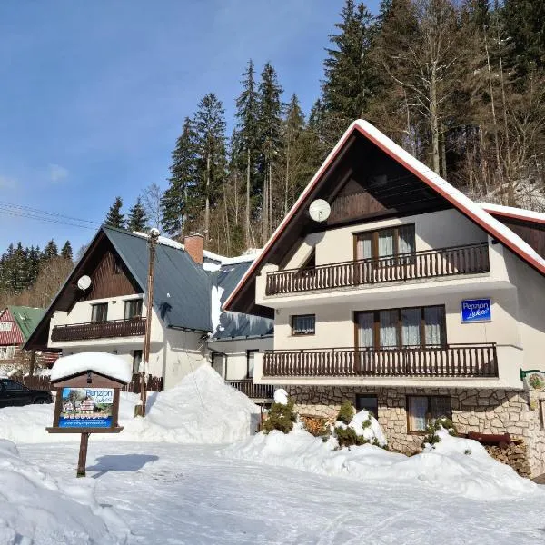 Penzion Lukeš, hôtel à Vítkovice