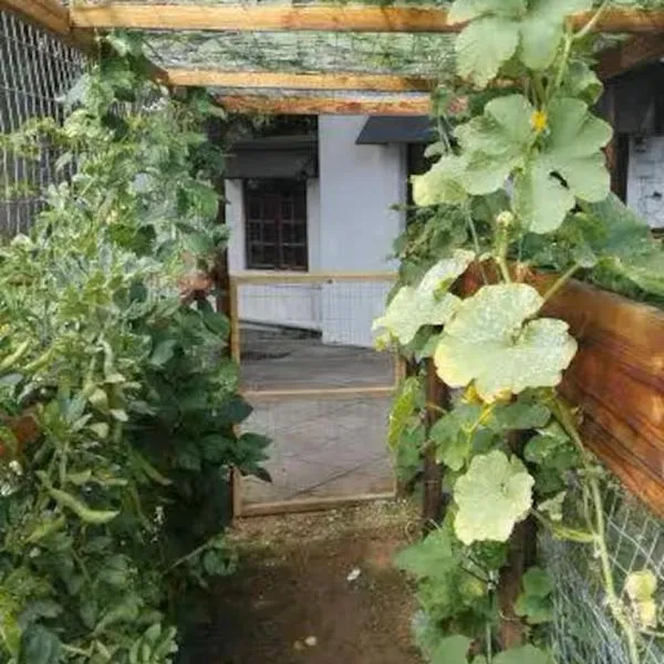 Urban Gardens, hotel en Gqeberha
