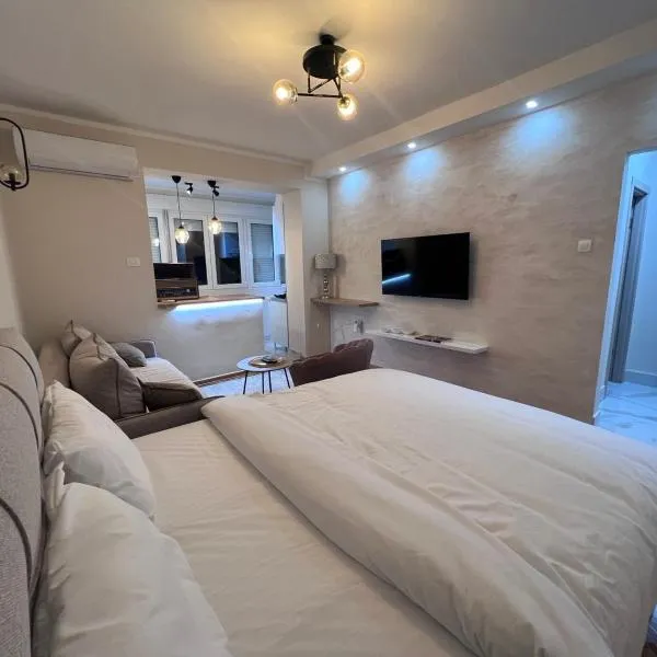 Viesnīca Anzoli Apartmani Centar Niksić pilsētā Nikšiča