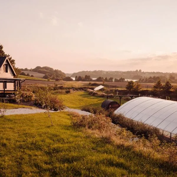 Domki na Kaszubach - Chabry i Rumianki - Roztoka, Przywidz - Basen Sauna Jacuzzi KASZUBY、Roztokaのホテル