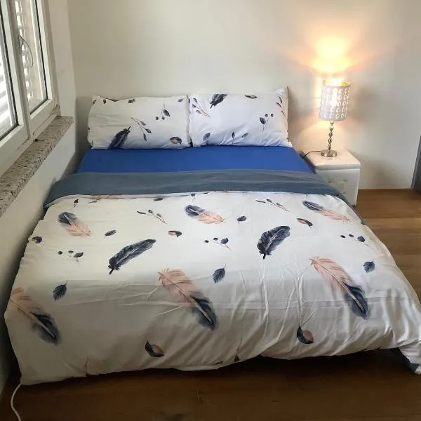 Chambre spacieuse, lumineuse et reposante, hotel v destinaci Oetwil an der Limmat