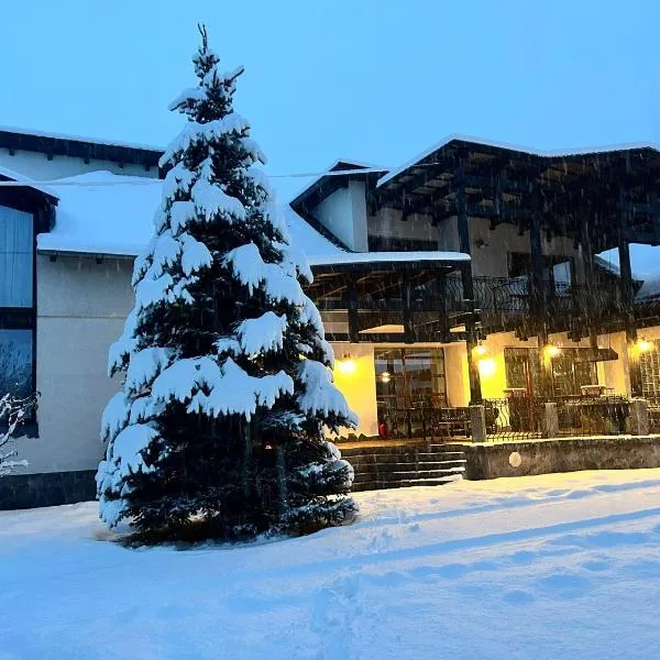 Vila TeoNa, hôtel à Topliţa