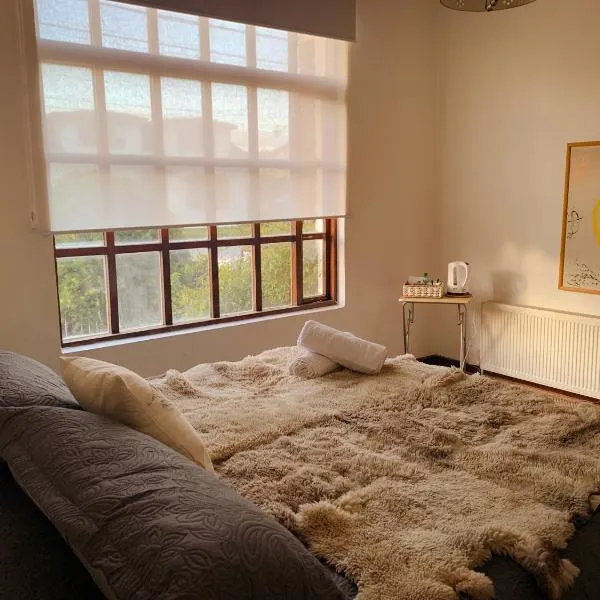 Patagonia Heritage Home, hotel em Punta Arenas