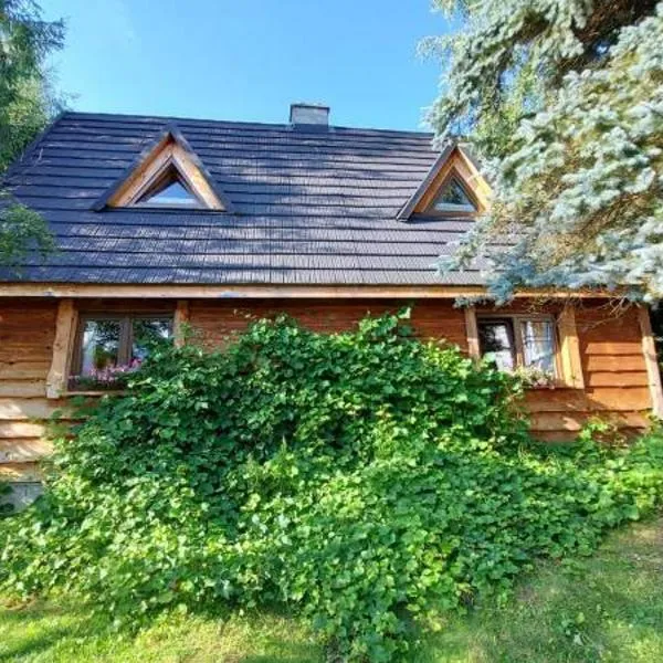 Dwerniczówka, hotel in Dwernik