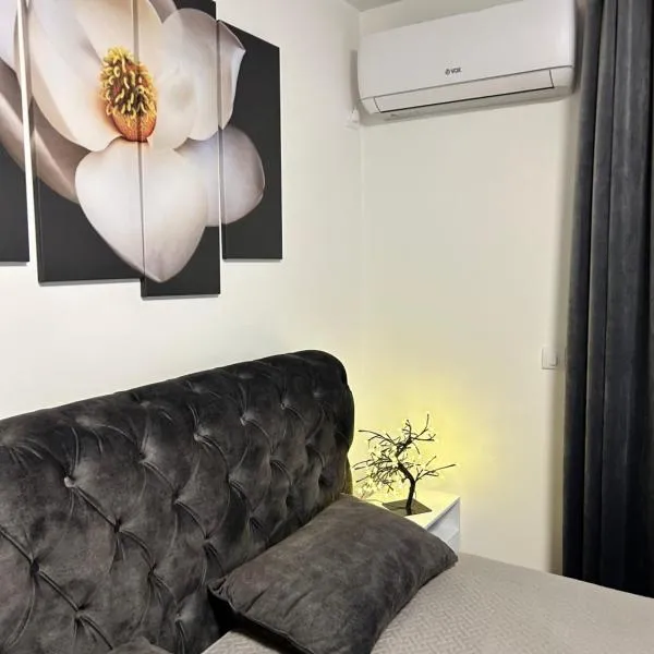 Apartman Sneznik, hotel i Vrnjačka Banja