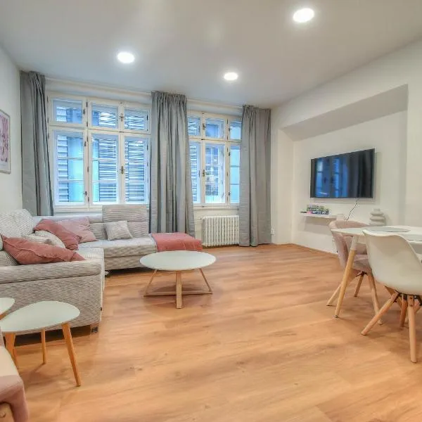 Apartmán se 2 ložnicemi, hotel in Olomouc