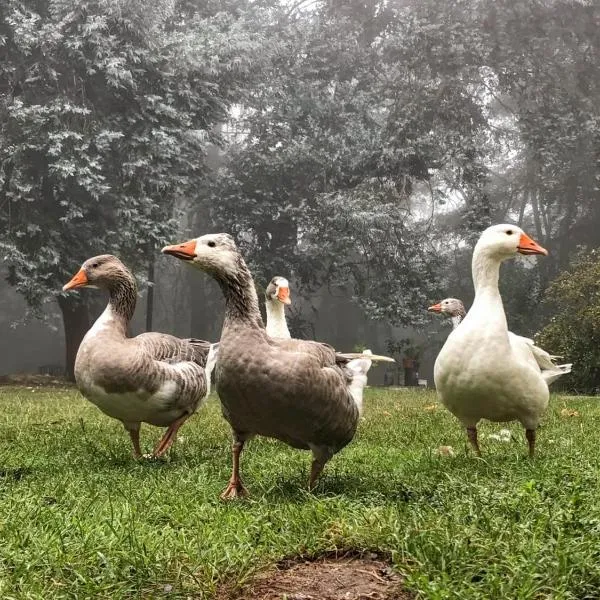 Posada Tanti El Durazno, hotel sa Tanti