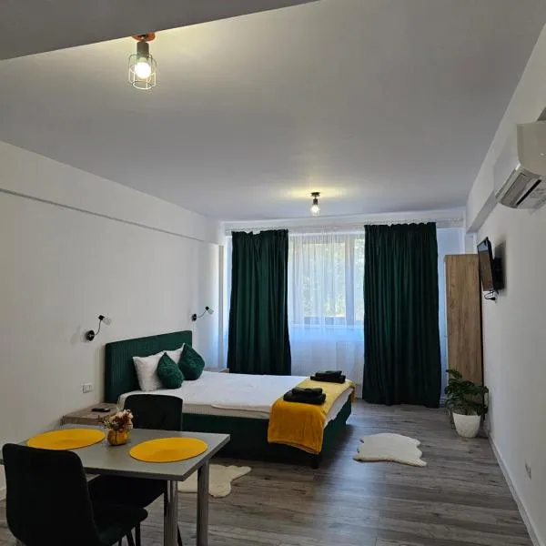 DIDI Apartament, hotel in Craiova