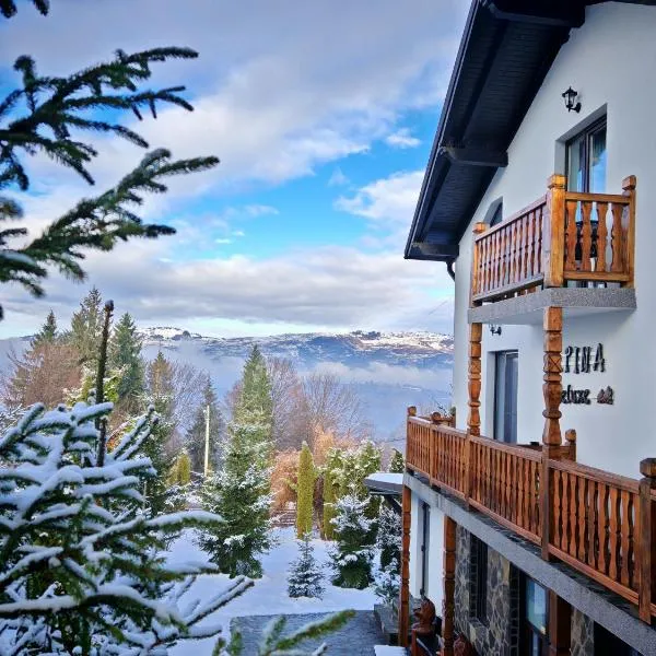 Alpina Panoramic, ξενοδοχείο σε Moisei