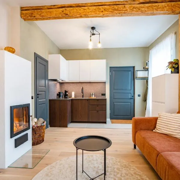 Studio apartment in Väike street, ξενοδοχείο σε Viljandi