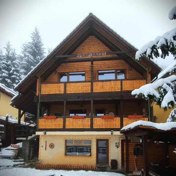 Cabana "Trei Brazi " Retezat、ルウ・デ・モリのホテル