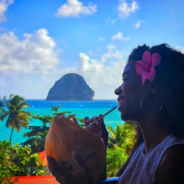 Studio 50m de la mer Village du Diamant, hotel in Le Diamant