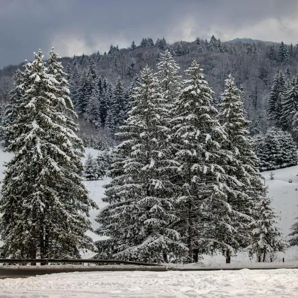 Poiana Cristian, hotel in Poiana Brasov