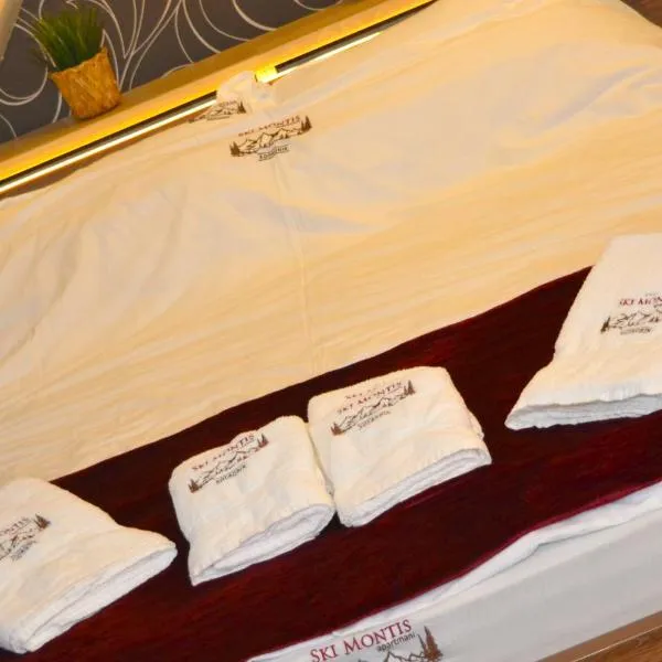 SKI MONTIS apartmani - Kopaonik centar, hotel in Kopaonik