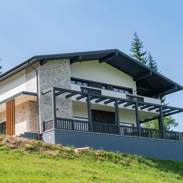 Magic View Chalet, hotell sihtkohas Bicaz-Chei