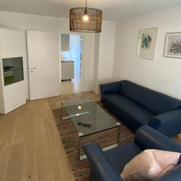 H3 with 3,5 rooms, 2 BR, livingroom and big kitchen, modern and central, hotel in Zürich