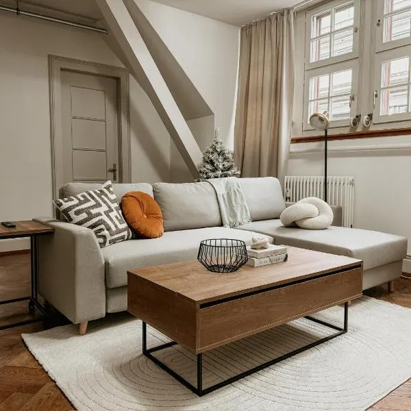 Stilvolle Maisonette im Herzen der Stadt, hotel v Basileji