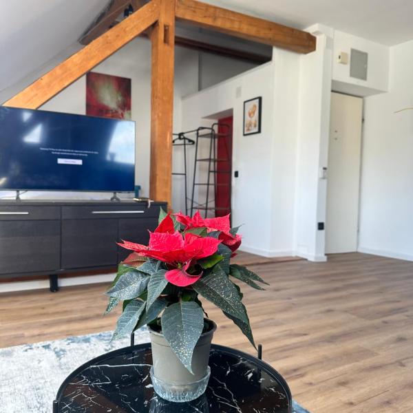 Apartament Salzburg mit Untersberg Ausblick, Salzbourg