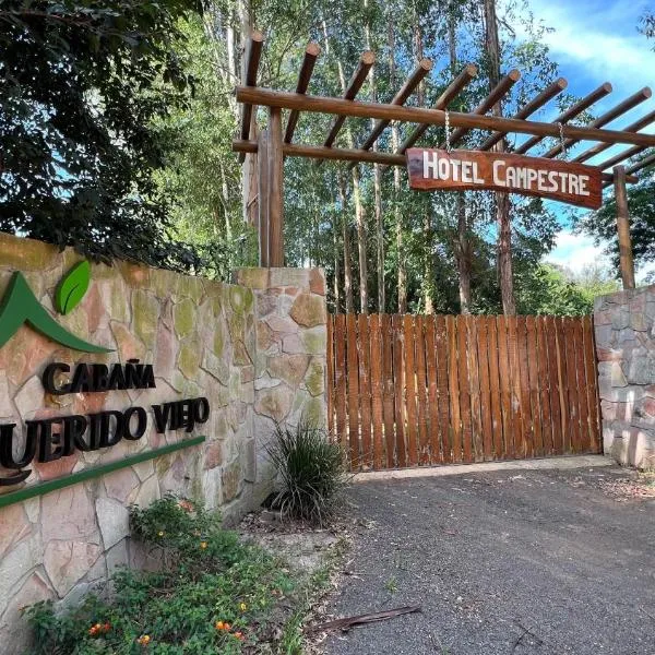 Cabañas Mi Querido Viejo, hotel di Doctor Juan León Mallorquín