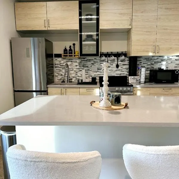 Contemporary Downtown Condo，位于杰克逊维尔的酒店