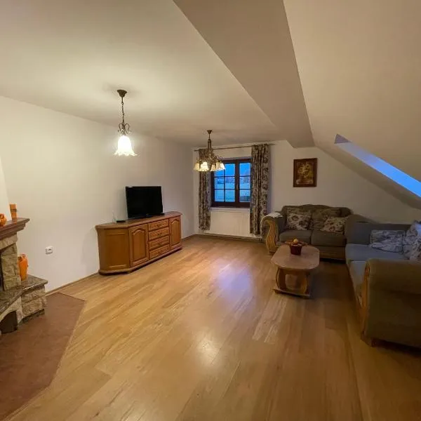 Apartmán Pod Javorovým, hotel in Třinec