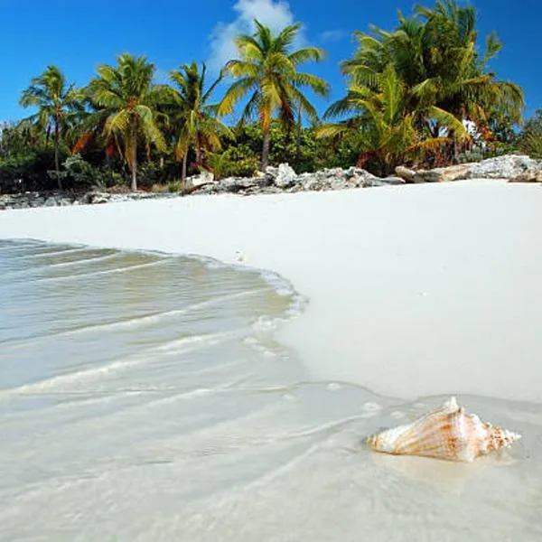 Sagusta Gardens NCA, hotel u gradu NCA