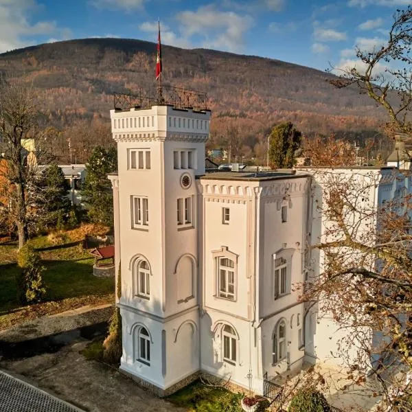 Chateau Franz，位于Osek的酒店