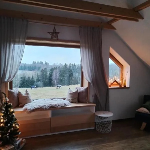 Apartmán Schwaderbach, ξενοδοχείο σε Bublava