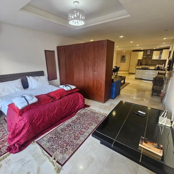 Studio spacieux plein centre, Casablanca