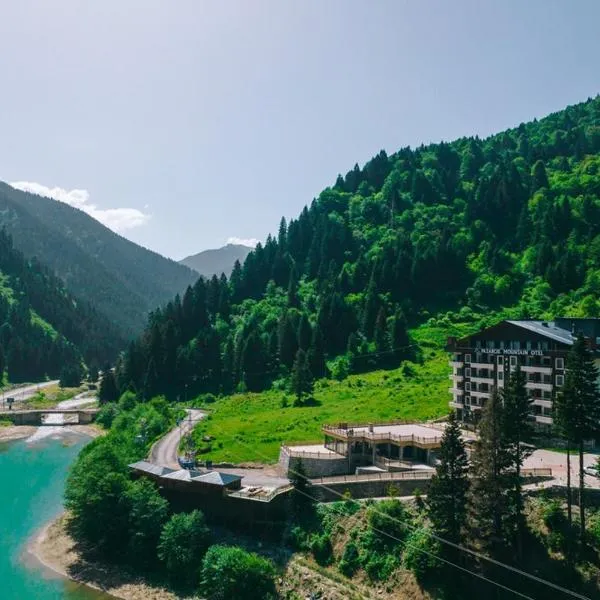 PAZARCIK MOUNTAIN HOTEL, hotel in Trabzon
