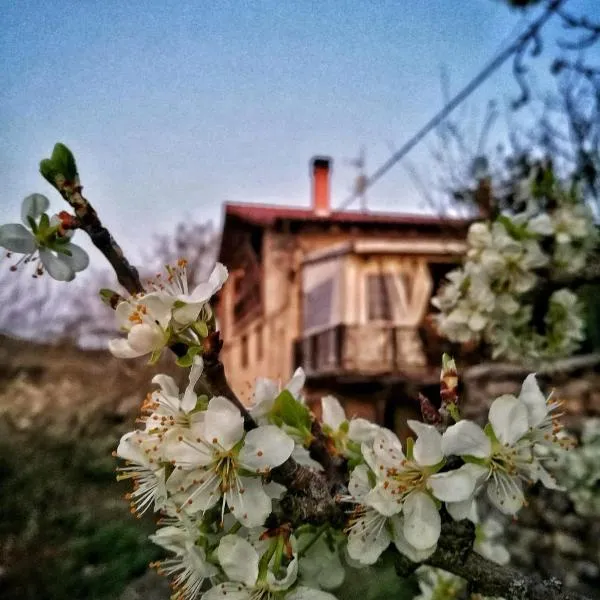 BIDEARTEAN, Caserío vasco, Recién reformado, hotel v destinaci Záitegui