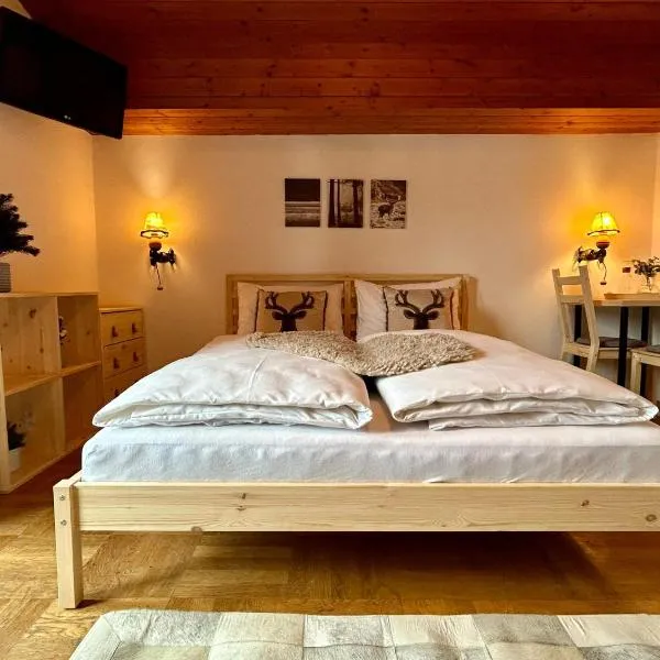 Edelweiss Lodge Lachtal I Self Check-in, hotel in Lachtal