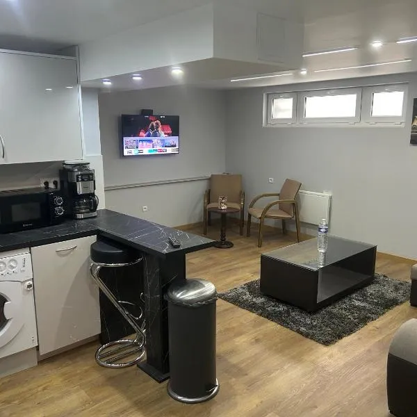 Appartement Agréable Robertsau, hotel in Strasbourg