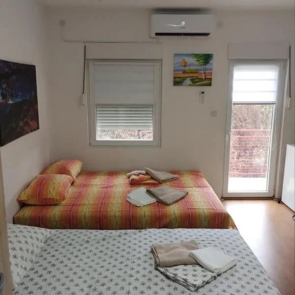 Studio Martin 1 Sokobanja - Park Čuka 2，位于索科矿泉村的酒店