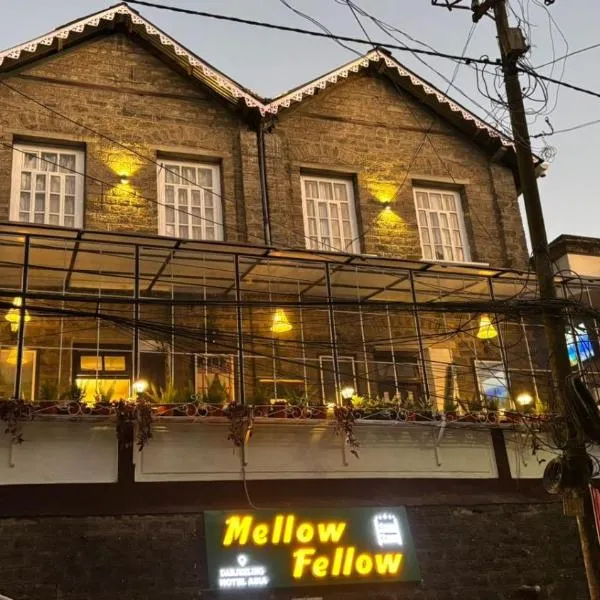 Mellow Fellow Hostel Darjeeling, Hotel in Darjeeling