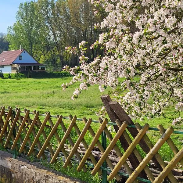 Erdőszéli Vadásztanya, hotel din Nemesnádudvar