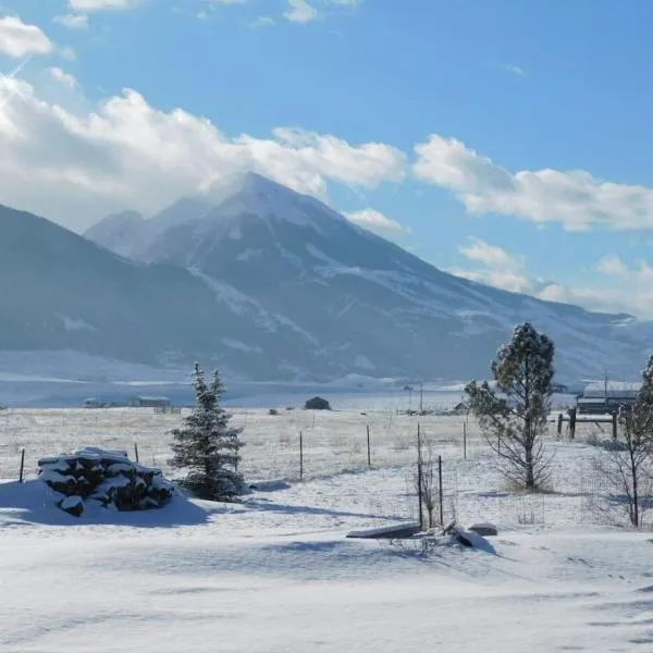 Chico Peak cabin nr Yellowstone,Chico Hot Springs, hotel in Pray