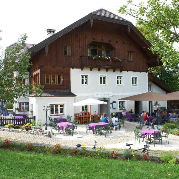 Erlachmühle, hotel in Mondsee