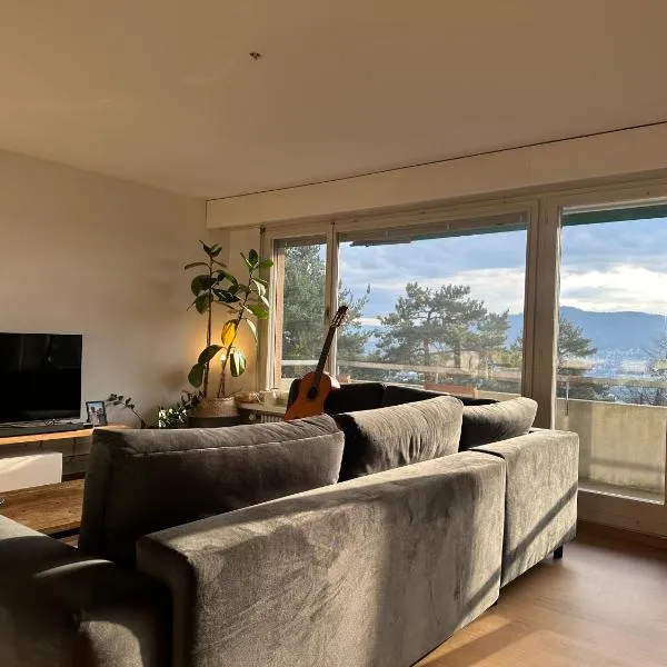 Lovely room, 15 min from center, mountain view, hotel in Zürich