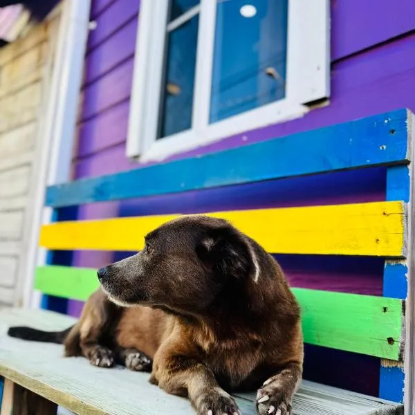 Go Slow Guesthouse, Hotel in Caye Caulker