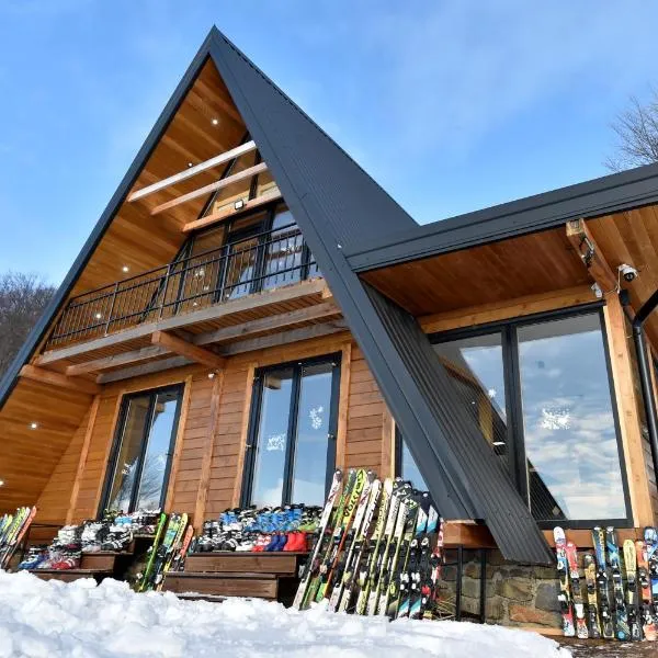 Gorska vila Vasilija, ξενοδοχείο σε Ivanjica