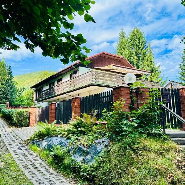 U Aluśki - Dom z tarasem na wyłączność, Hotel in Szczyrk