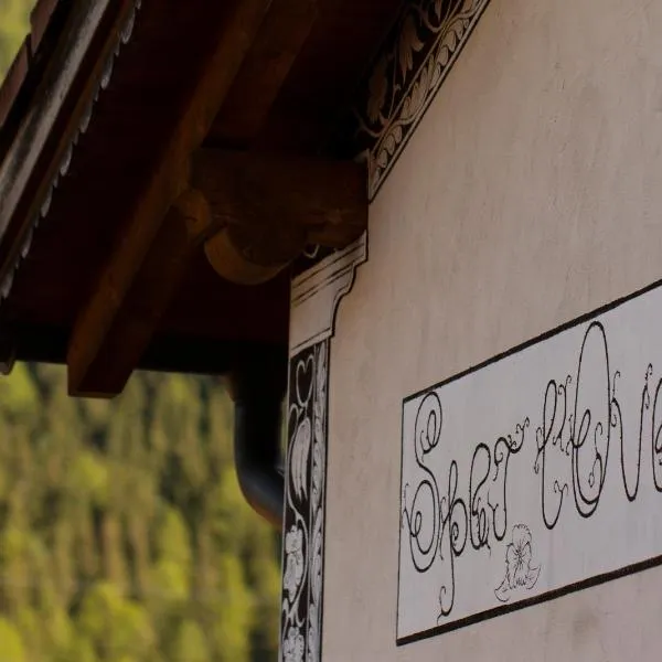 Chesa Sper l'Ovel Brail, hotel di Zernez